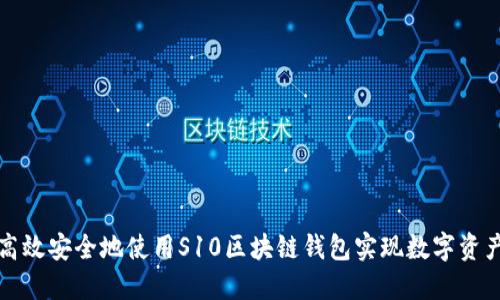 如何高效安全地使用S10区块链钱包实现数字资产管理
