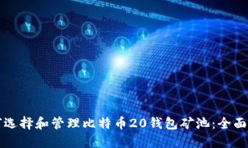 如何选择和管理比特币20钱包矿池：全面指南