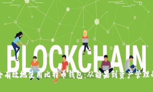 如何安全有效地使用比特币钱包：从糖果到资产管理的全攻略