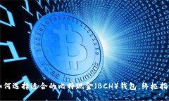 如何选择适合的比特现金