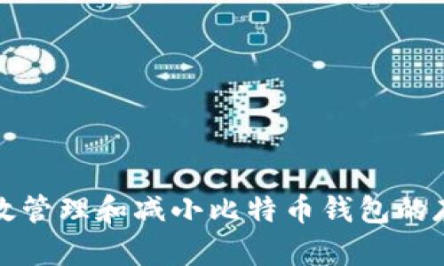 如何有效管理和减小比特币钱包的存储空间