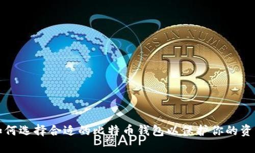 如何选择合适的比特币钱包以保护你的资产
