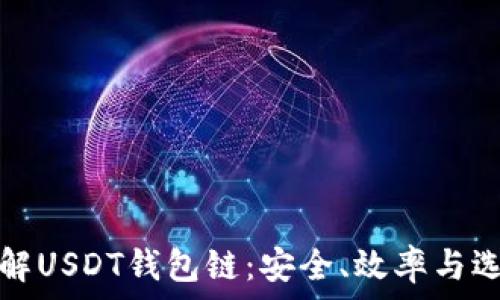   
深入了解USDT钱包链：安全、效率与选择指南