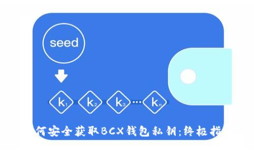 如何安全获取BCX钱包私钥：终极指南