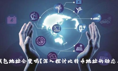 比特币钱包地址会变吗？深入探讨比特币地址的动态与安全性