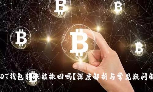 USDT钱包转账能撤回吗？深度解析与常见疑问解答