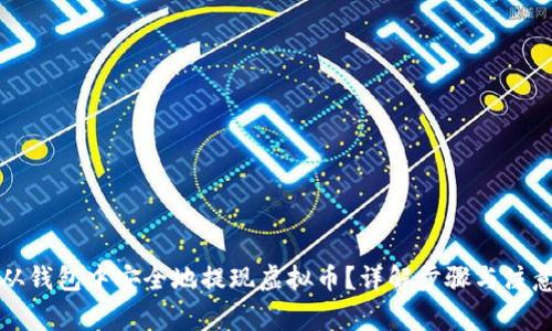 如何从钱包中安全地提现虚拟币？详解步骤与注意事项