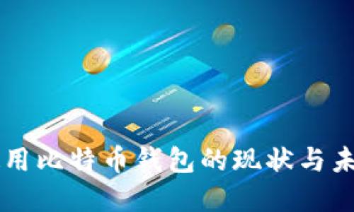国内使用比特币钱包的现状与未来展望