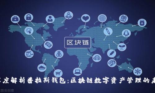  深度解析普拉斯钱包：区块链数字资产管理的未来