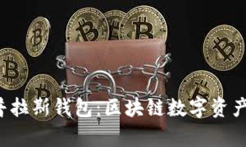  深度解析普拉斯钱包：区块链数字资产管理的未来