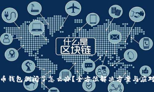 比特币钱包倒闭了怎么办？全方位解决方案与应对策略