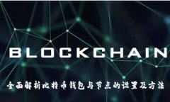 全面解析比特币钱包与节