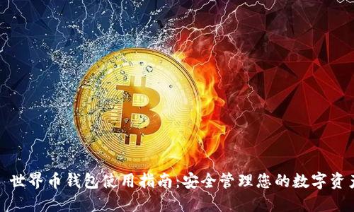 : 世界币钱包使用指南：安全管理您的数字资产