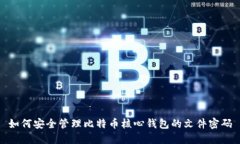 如何安全管理比特币核心钱包的文件密码