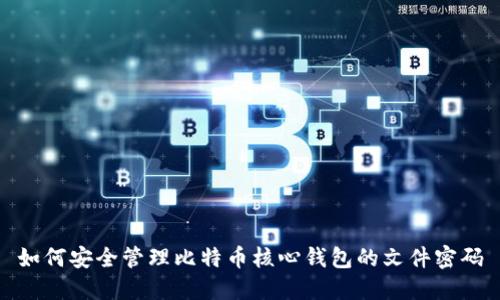 如何安全管理比特币核心钱包的文件密码
