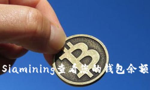 : 如何使用Siamining查看您的钱包余额和交易历史