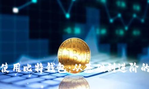 如何有效使用比特钱包：从基础到进阶的全面指南