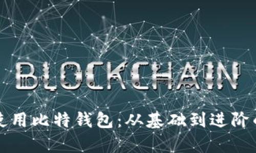 如何有效使用比特钱包：从基础到进阶的全面指南