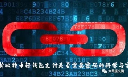 解析比特币轻钱包支付是否需要密码的科学与实践