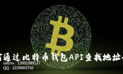 如何通过比特币钱包API查找地址余额