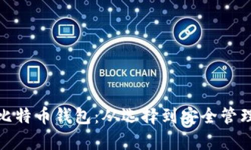: 全面解析比特币钱包：从选择到安全管理的最终指南