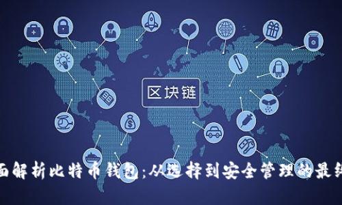 : 全面解析比特币钱包：从选择到安全管理的最终指南