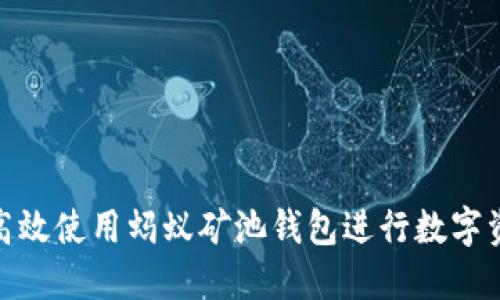: 如何高效使用蚂蚁矿池钱包进行数字资产管理
