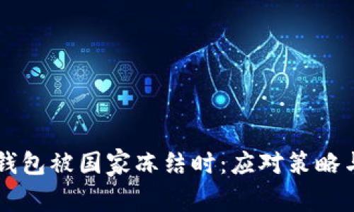 当以太坊钱包被国家冻结时：应对策略与解决方案