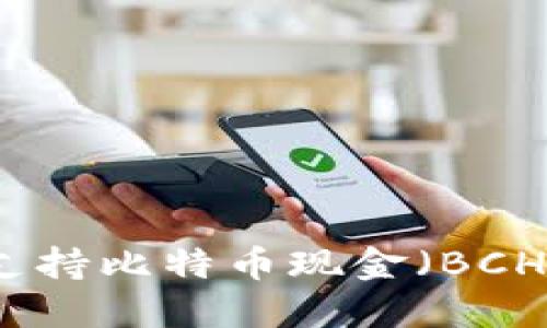 如何选择一个支持比特币现金（BCH）的比特币钱包