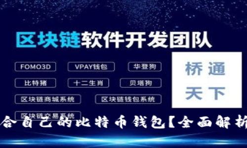 如何选择适合自己的比特币钱包？全面解析与推荐指南