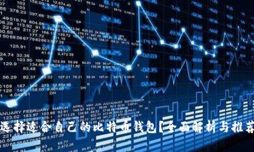 如何选择适合自己的比特币钱包？全面解析与推荐指南