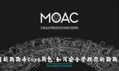 全面解析狗狗币Core钱包：如何安全管理你的狗狗