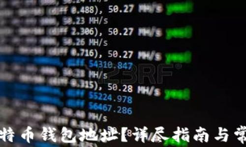 
如何查看比特币钱包地址？详尽指南与常见问题解答