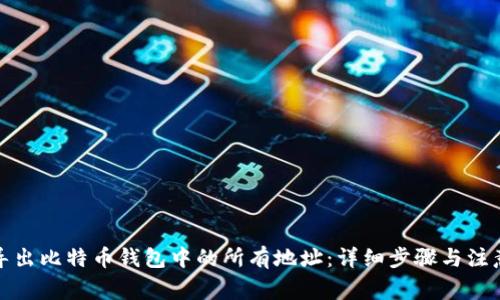 如何导出比特币钱包中的所有地址：详细步骤与注意事项
