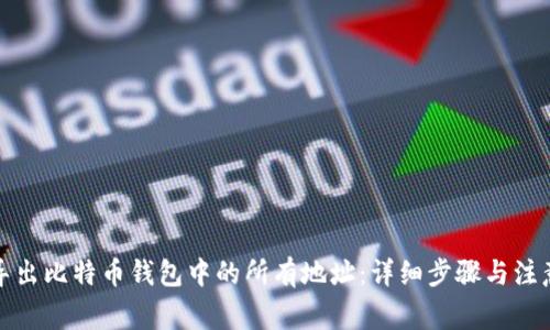 如何导出比特币钱包中的所有地址：详细步骤与注意事项
