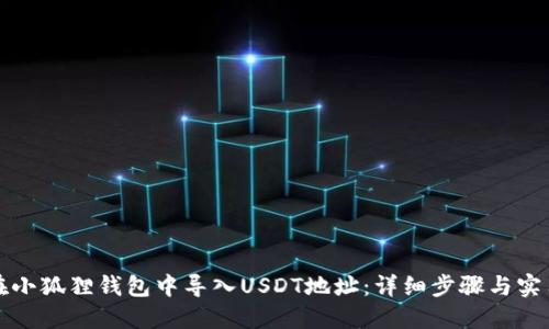 如何在小狐狸钱包中导入USDT地址：详细步骤与实用指南