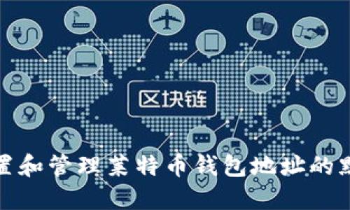 如何设置和管理莱特币钱包地址的默认选项