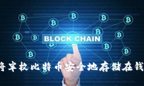 如何将半枚比特币安全地存储在钱包中？