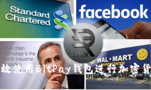 如何高效使用BitPay钱包进行加密货币管理