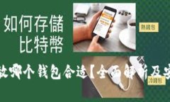 比特币放哪个钱包合适？全面解析及安全建议
