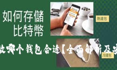 比特币放哪个钱包合适？全面解析及安全建议