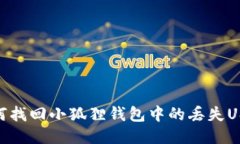 如何找回小狐狸钱包中的丢失USDT