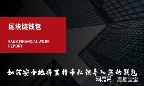 如何安全地将莱特币私钥导入您的钱包