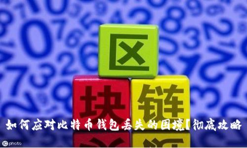 如何应对比特币钱包丢失的困境？彻底攻略