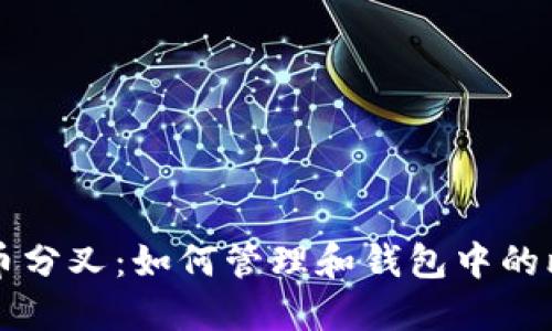 理解比特币分叉：如何管理和钱包中的比特币资产