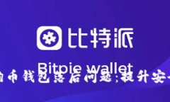 如何解决狗狗币钱包落后问题：提升安全性与易