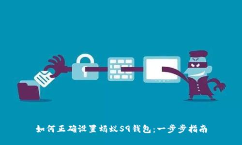 如何正确设置蚂蚁S9钱包：一步步指南