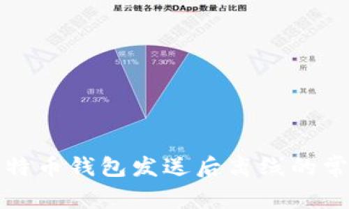 解决比特币钱包发送后离线的常见问题