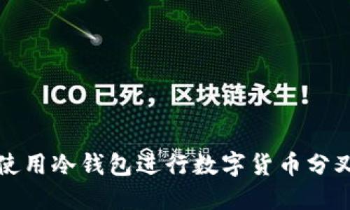 如何使用冷钱包进行数字货币分叉管理