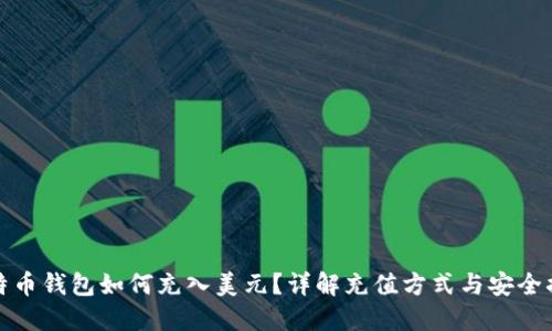 比特币钱包如何充入美元？详解充值方式与安全措施